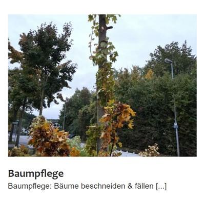 Baumpflege in  Gundelsheim